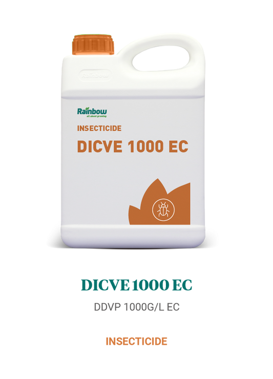 Dicve 1000 EC Rainbow