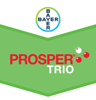 Prosper Trio 460 EC Bayer